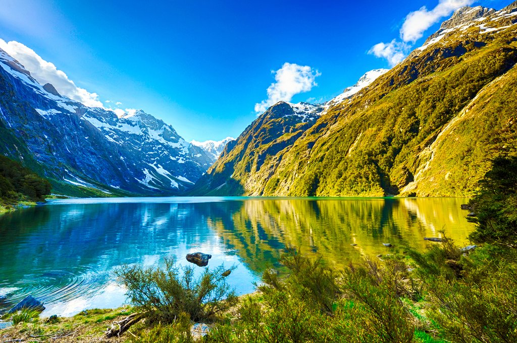 banner-New Zealand